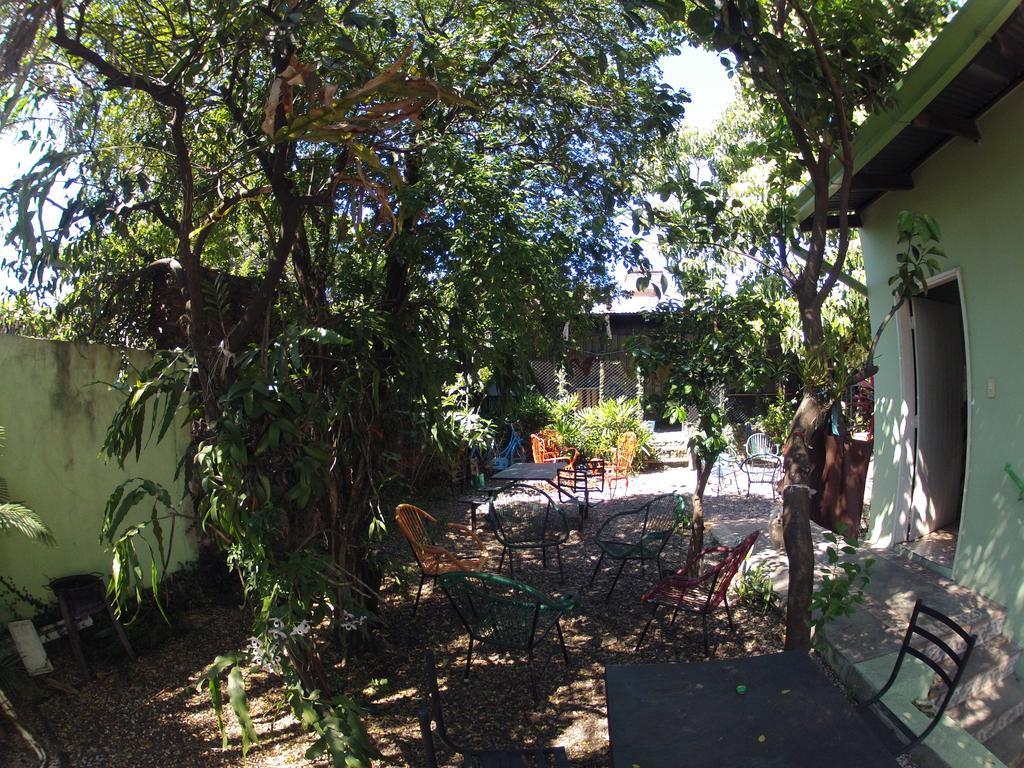 Hamaca Paraguaya Hostel Asuncion Exterior foto