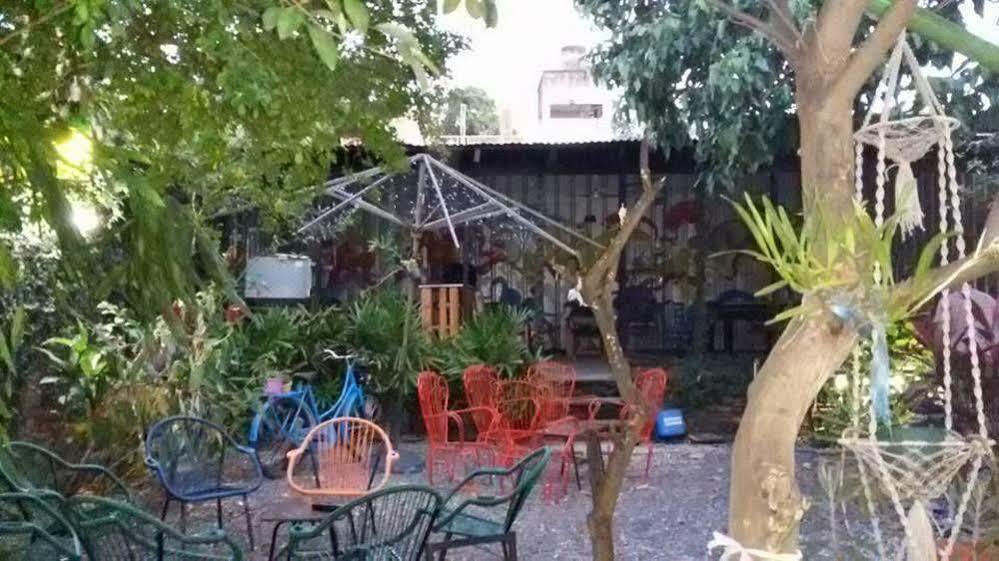 Hamaca Paraguaya Hostel Asuncion Exterior foto